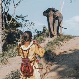 Meet your Posher, Roxanne